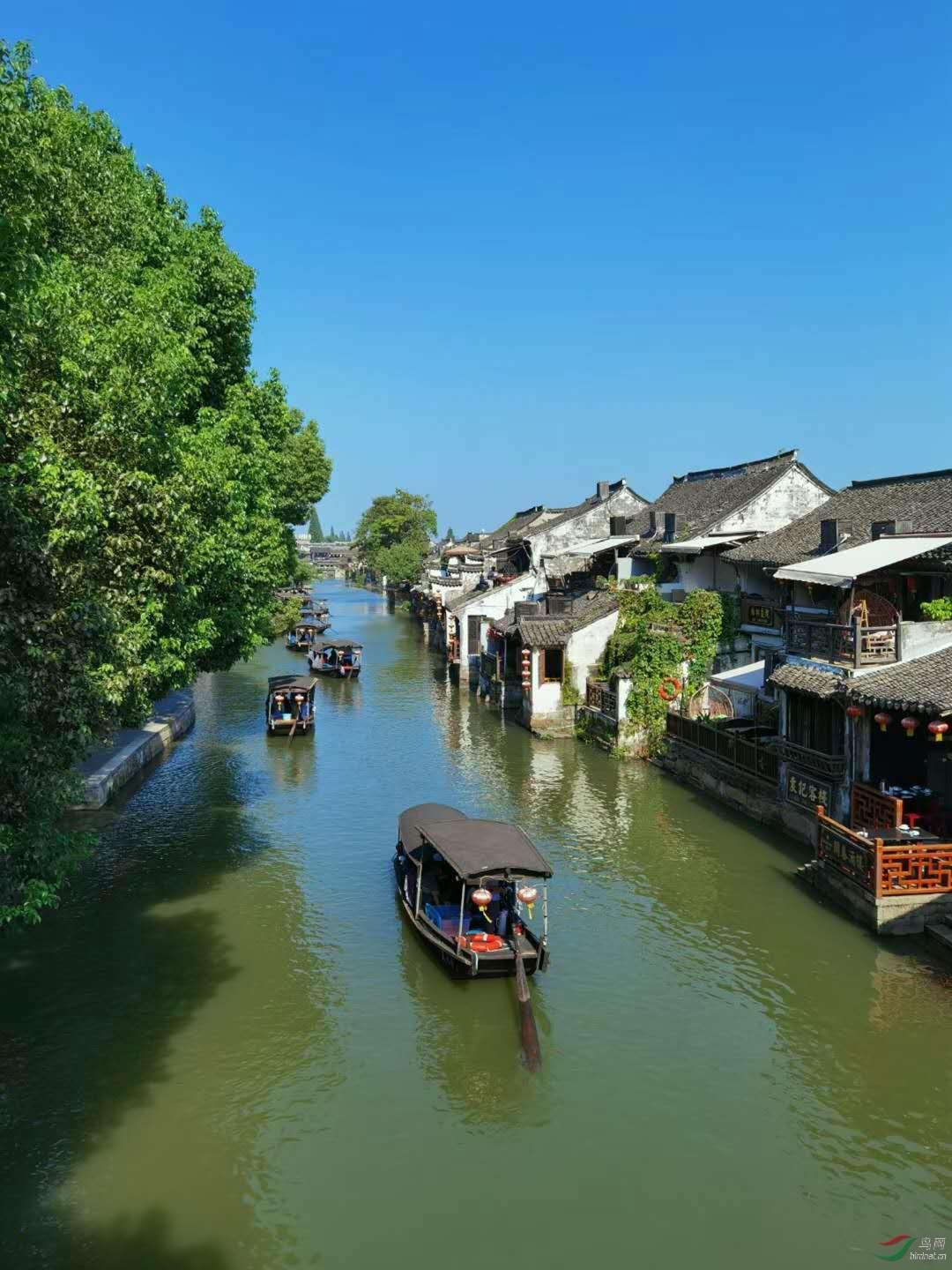 逃离未知丛林